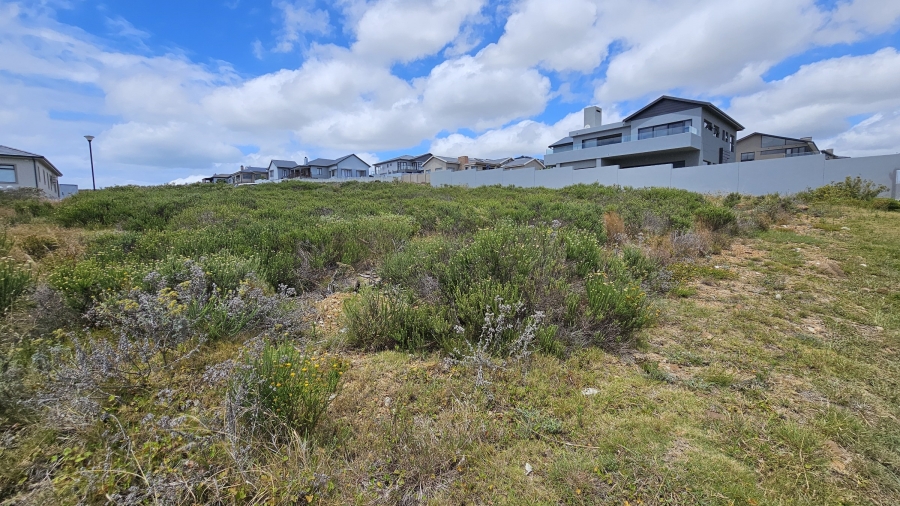 0 Bedroom Property for Sale in Blue Waters Estate Eastern Cape